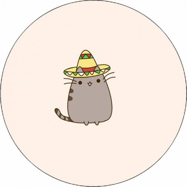 Pusheen v sombrere 19,5 cm